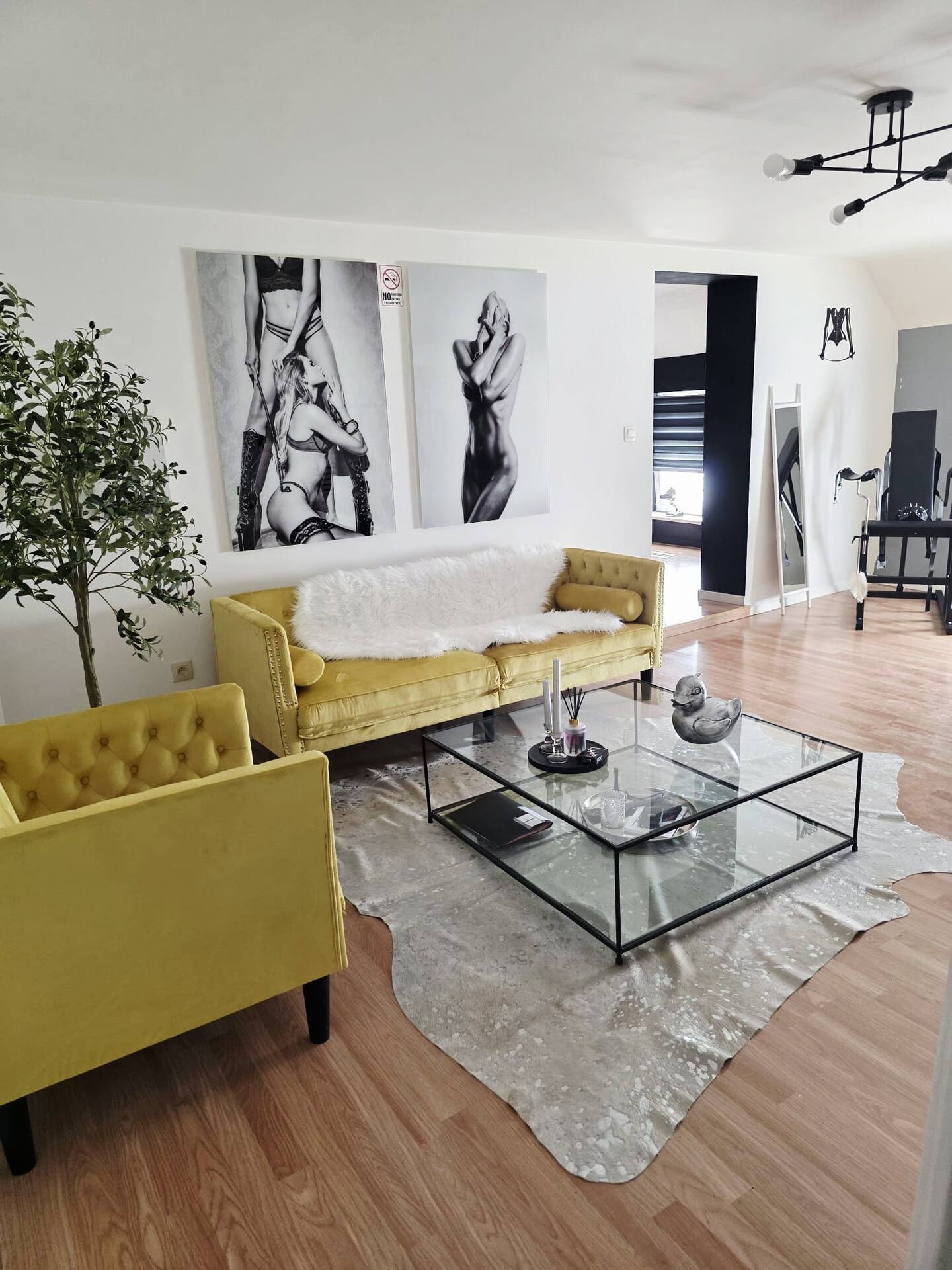 Chambre BDSM Belgique - Chambre principale à thème avec équipements - Loft N°7 Fleurus