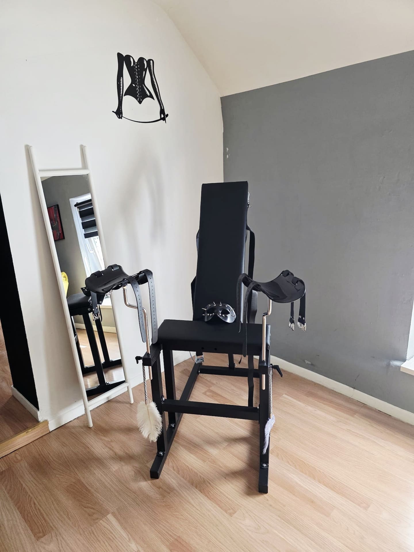 Chambre à thème BDSM - Salle de bain jacuzzi LED - Logement luxe Fleurus