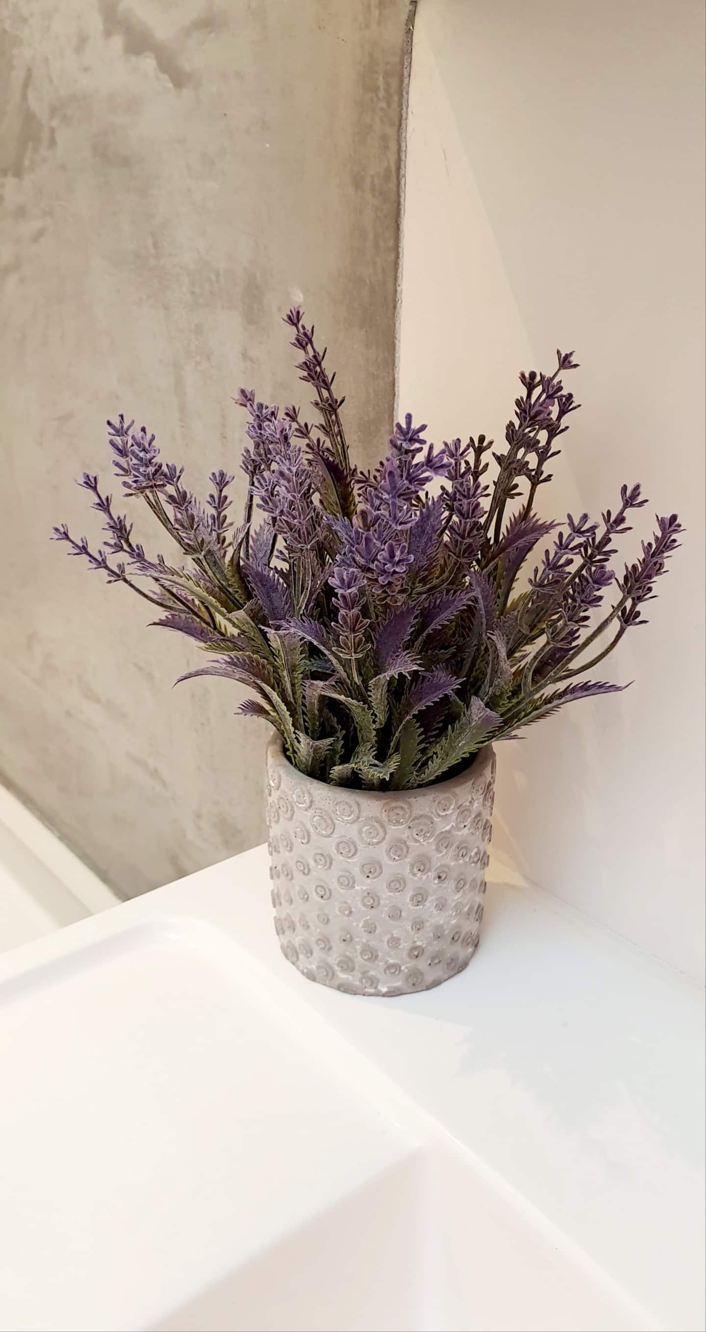 Cosy House Namur - Salon moderne et lumineux