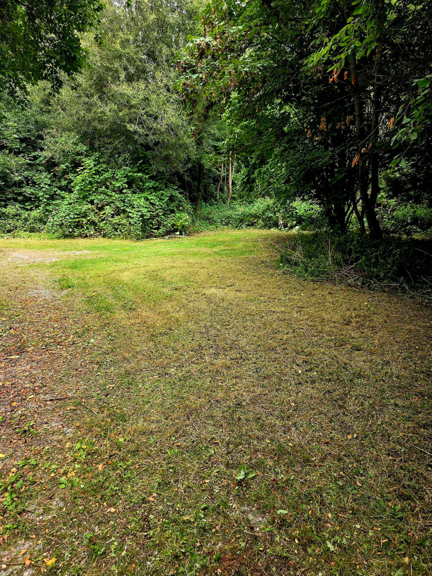 Vue sur l'étang privé