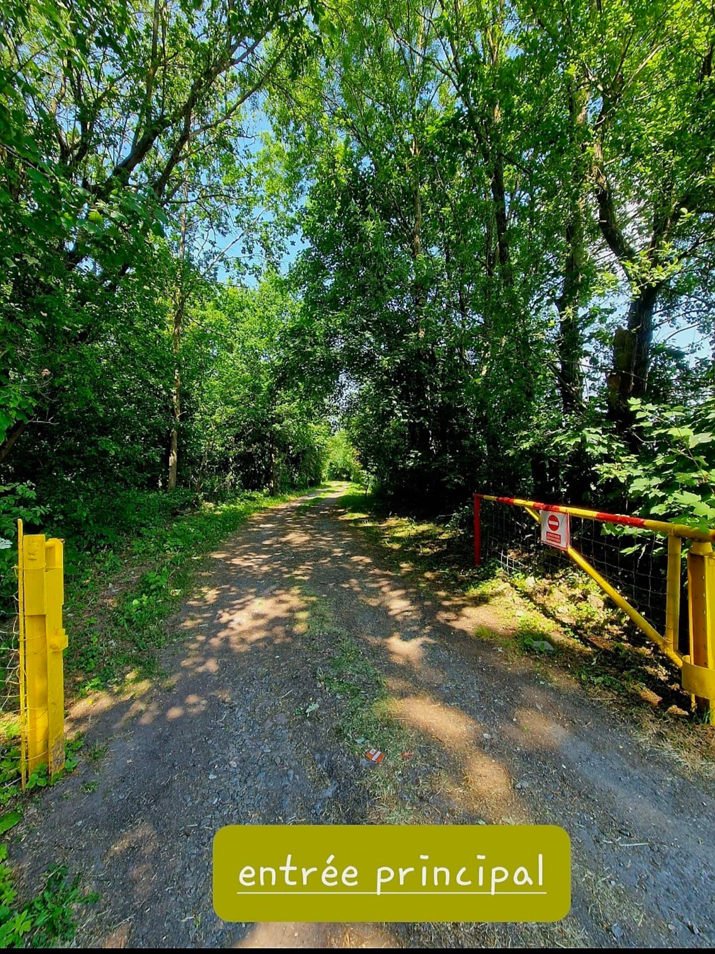 Environnement forestier